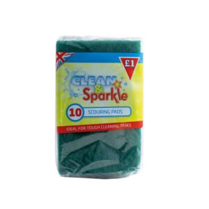 10 Scouring Pads